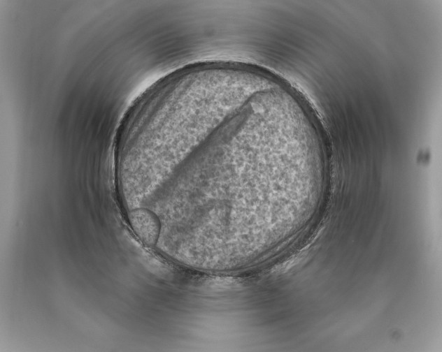 X0000089970982200707271917