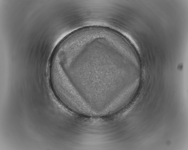 X0000089970983200707271917