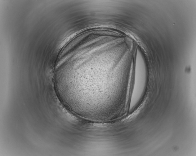 X0000089970985200707271917