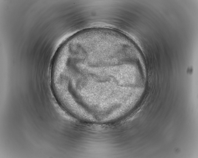 X0000089970987200707271917