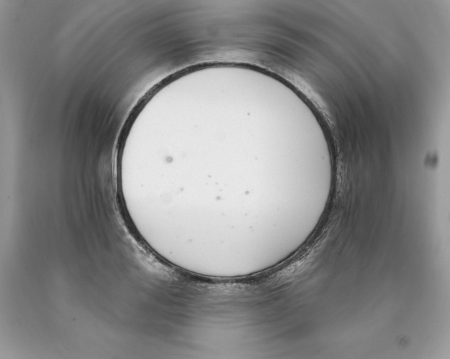 X0000089970988200707271917