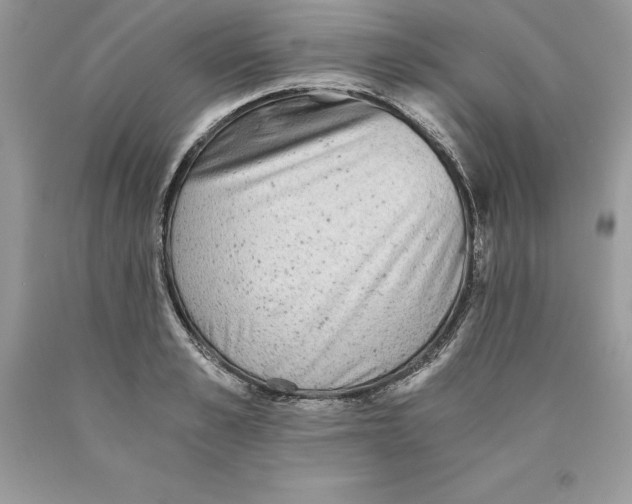 X0000089970989200707271917