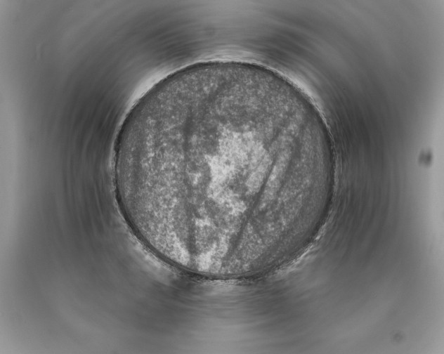 X0000089970990200707271917