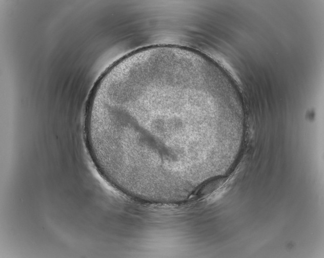 X0000089970991200707271917