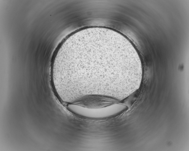 X0000089970992200707271917