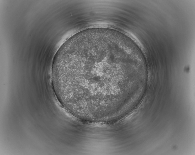 X0000089970994200707271917