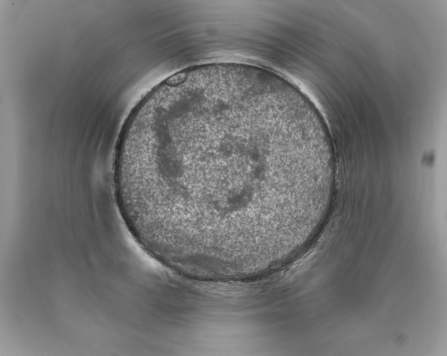 X0000089970995200707271917