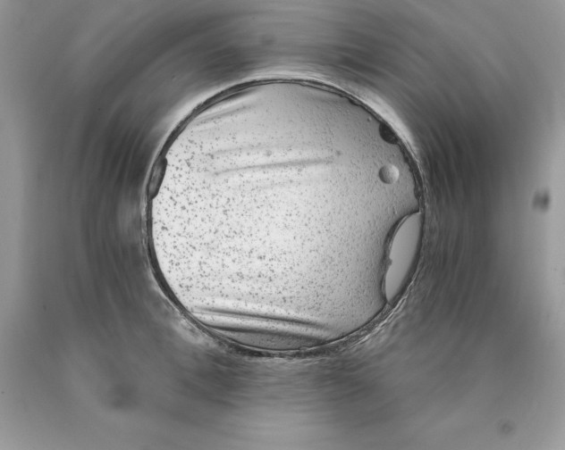 X0000089970996200707271917