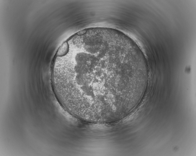 X0000089970998200707271917