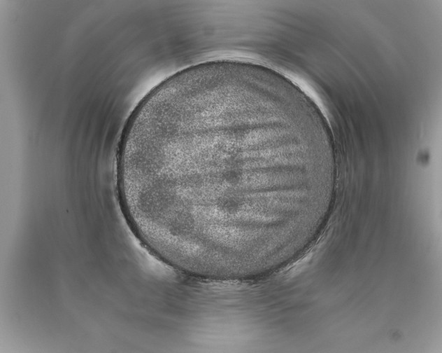 X0000089970999200707271917