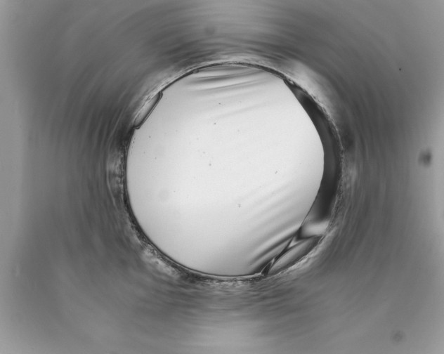 X0000089971001200707271917