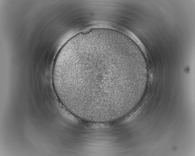 X0000089971002200707271917