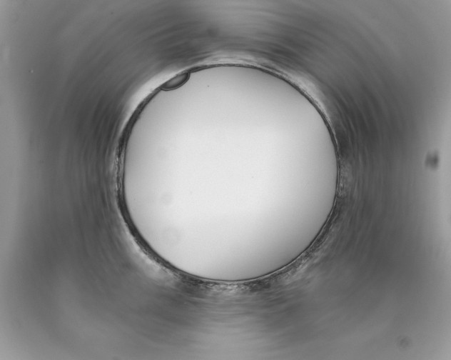 X0000089971003200707271917