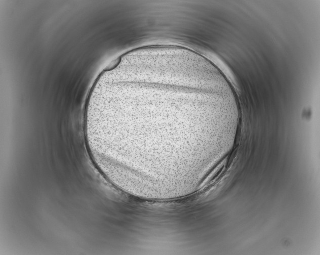 X0000089971004200707271917