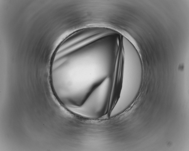 X0000089971005200707271917