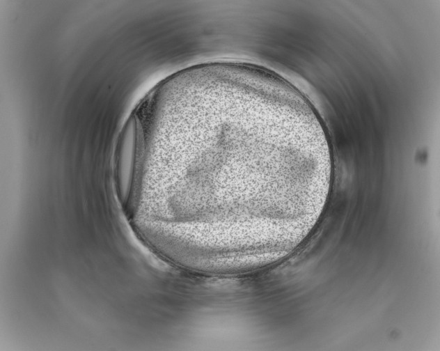 X0000089971006200707271917