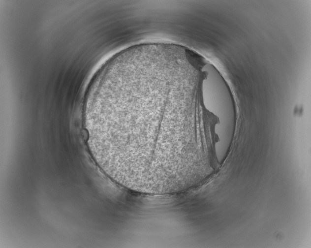 X0000089971008200707271917