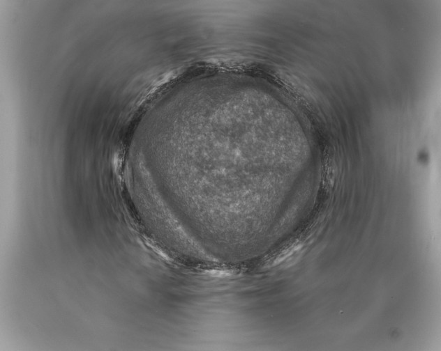 X0000089971010200707271917