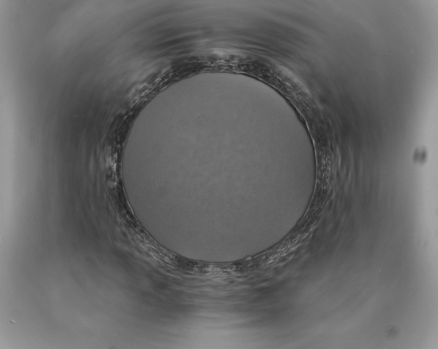 X0000089971013200707271917