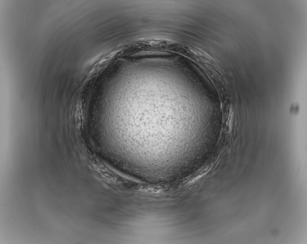 X0000089971014200707271917