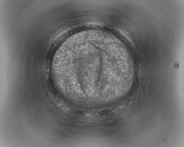 X0000089971015200707271917