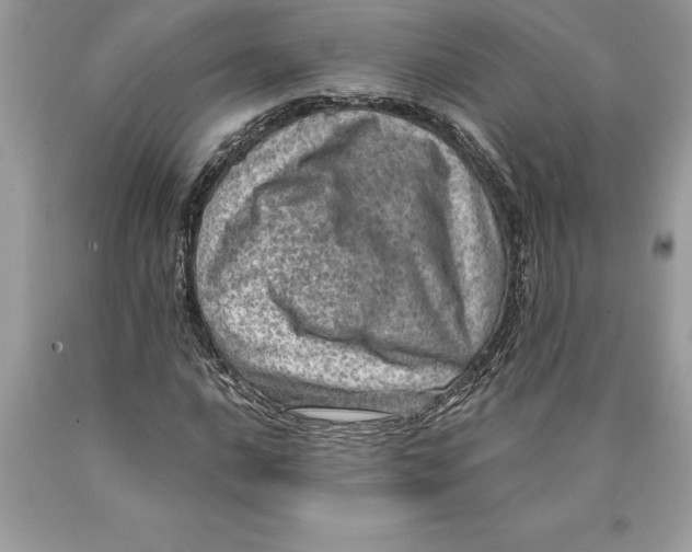 X0000089971016200707271917