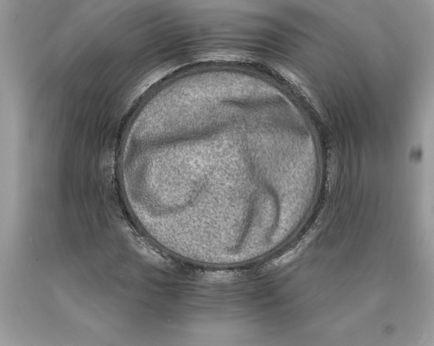 X0000089971017200707271917