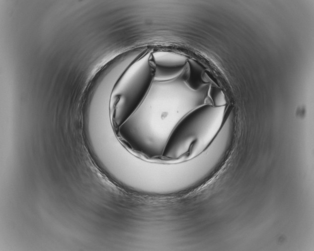 X0000089971018200707271917