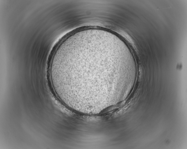 X0000089971020200707271917