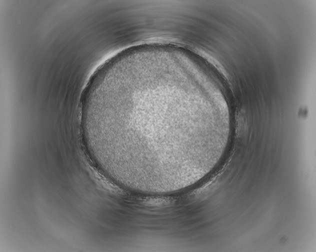 X0000089971021200707271917