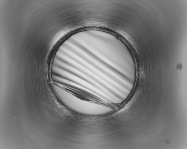 X0000089971022200707271917