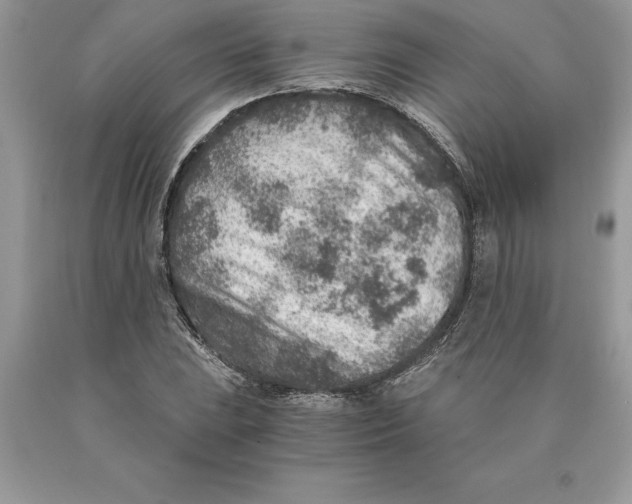 X0000089971023200707271917