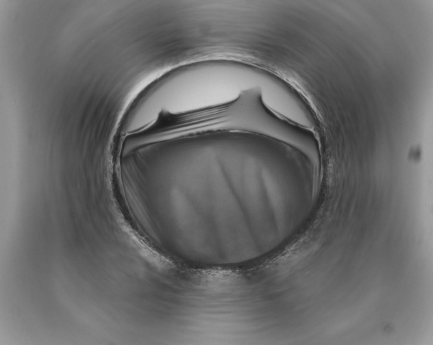 X0000089971024200707271917