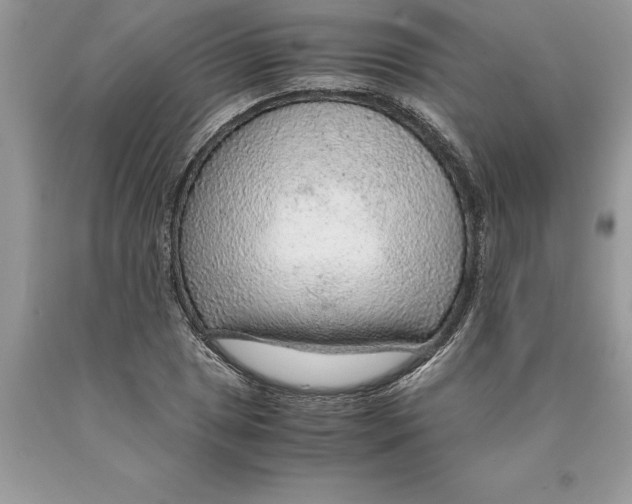 X0000089971025200707271917