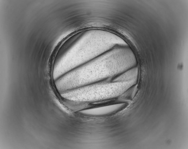 X0000089971026200707271917