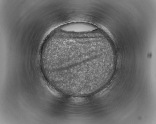 X0000089971027200707271917