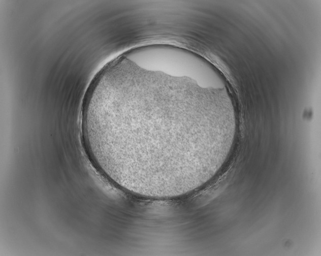 X0000089971028200707271917