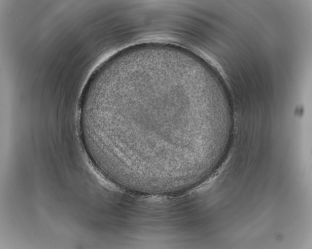 X0000089971029200707271917