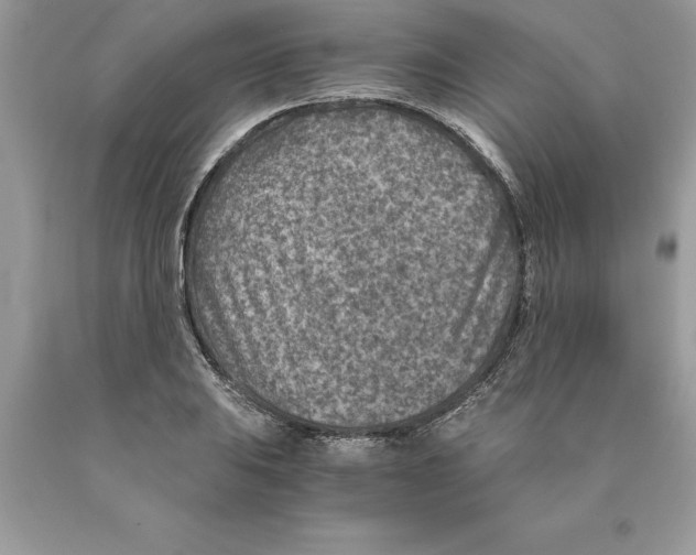 X0000089971031200707271917