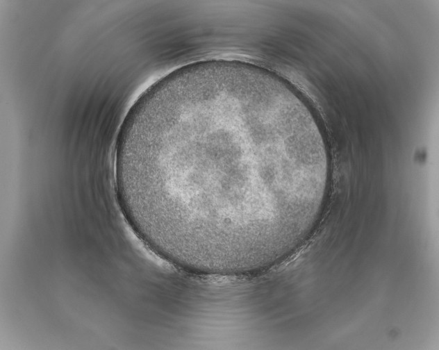 X0000089971032200707271917