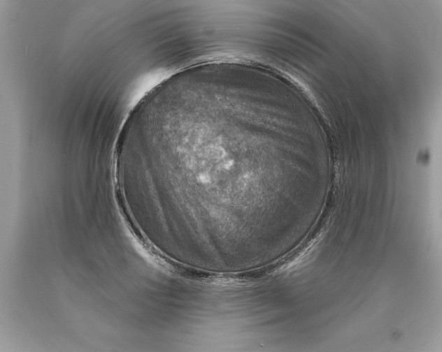 X0000089971034200707271917