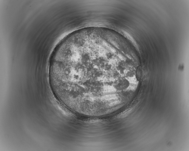 X0000089971035200707271917