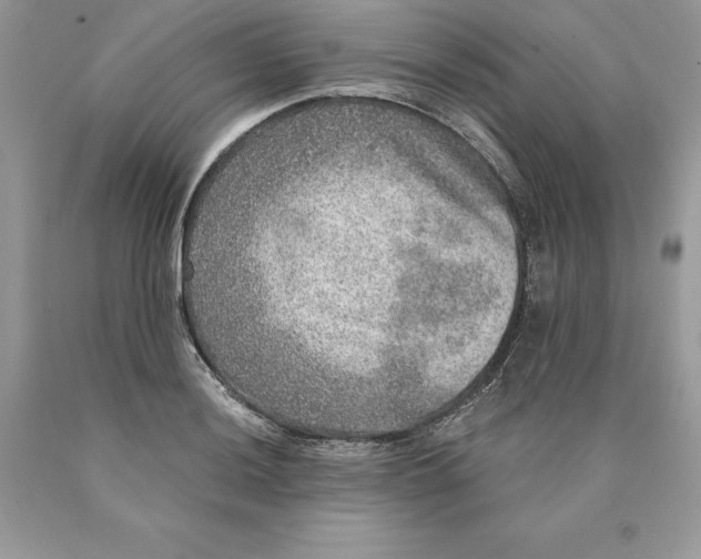 X0000089971036200707271917