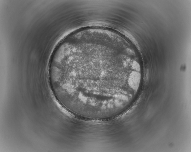 X0000089971037200707271917