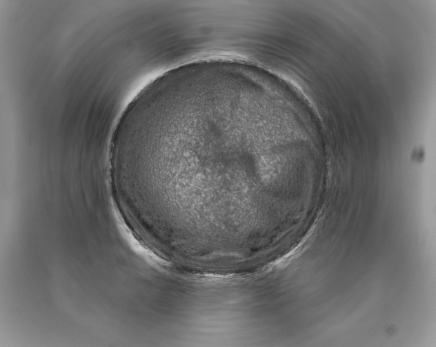 X0000089971038200707271917