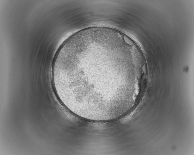 X0000089971040200707271917