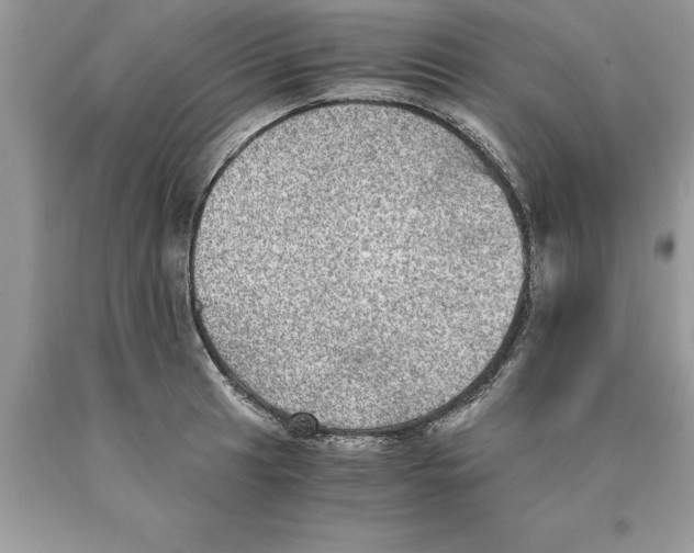 X0000089971041200707271917