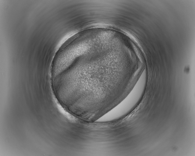 X0000089971042200707271917