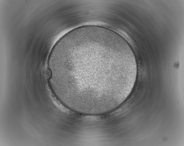 X0000089971044200707271917