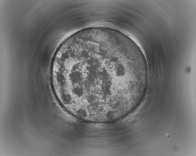 X0000089971045200707271917